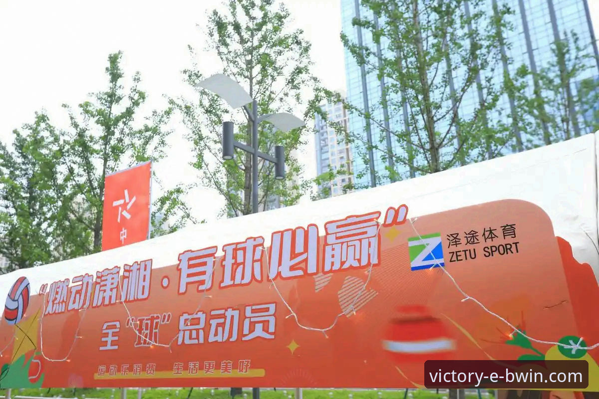 BWIN必赢体育流畅稳定体验完全指南：从下载到投注的详细攻略